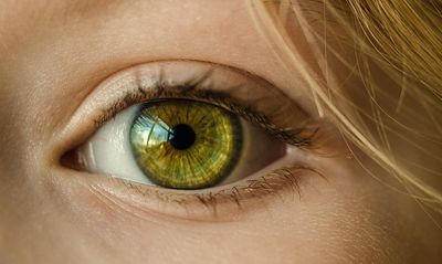 Creating a vision: the foundation of any successful business