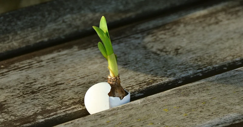 How to negotiate a commercial lease renewal