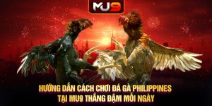 Hướng dẫn cách chơi đá gà philippines tại MU9 thắng đậm mỗi ngày