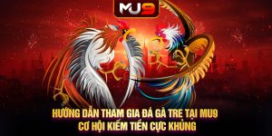 Hướng dẫn tham gia đá gà tre tại MU9 - Cơ hội kiếm tiền cực khủng