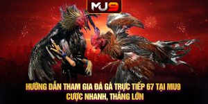 Hướng dẫn tham gia đá gà trực tiếp 67 tại MU9 - Cược nhanh, thắng lớn