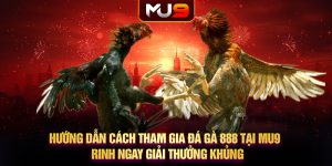 Hướng dẫn cách tham gia đá gà 888 tại MU9 - Rinh ngay giải thưởng khủng