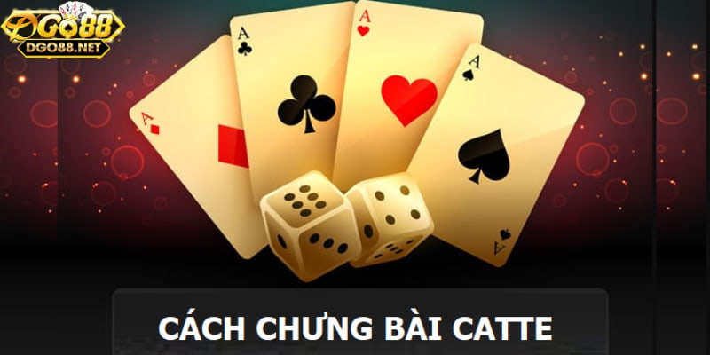 Quản lý bài của mình thật tốt